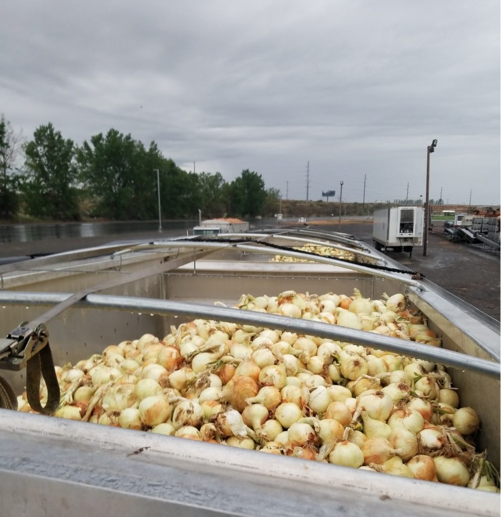 A truck of onions